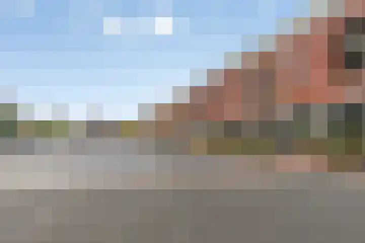De Rede 83 Dronten thumbnail 33