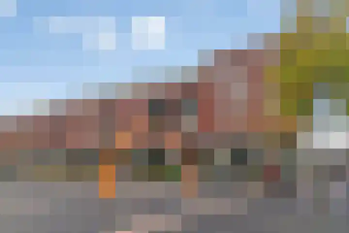 De Rede 83 Dronten thumbnail 35