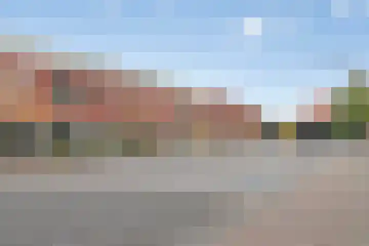 De Rede 83 Dronten thumbnail 37