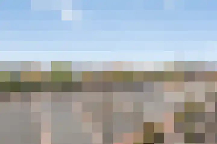 De Rede 83 Dronten thumbnail 39