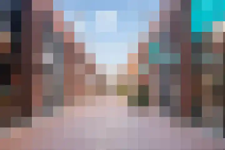 De Rede 83 Dronten thumbnail 40