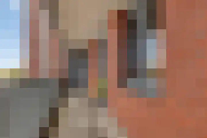 De Rede 83 Dronten thumbnail 8