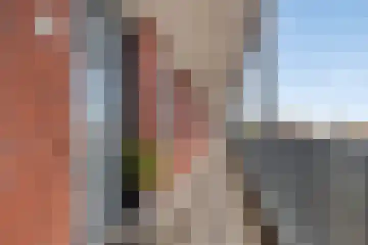 De Rede 83 Dronten thumbnail 9