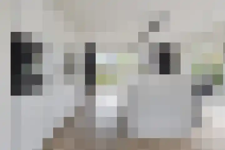 De Reeakker 4 Eelde thumbnail 11