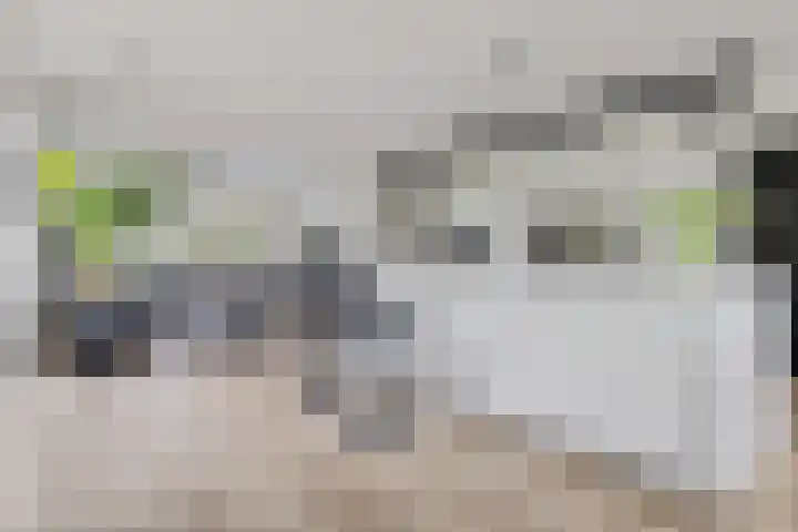 De Reeakker 4 Eelde thumbnail 13