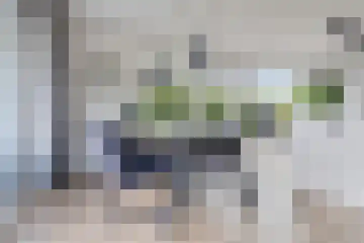 De Reeakker 4 Eelde thumbnail 15