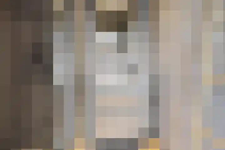 De Reeakker 4 Eelde thumbnail 18