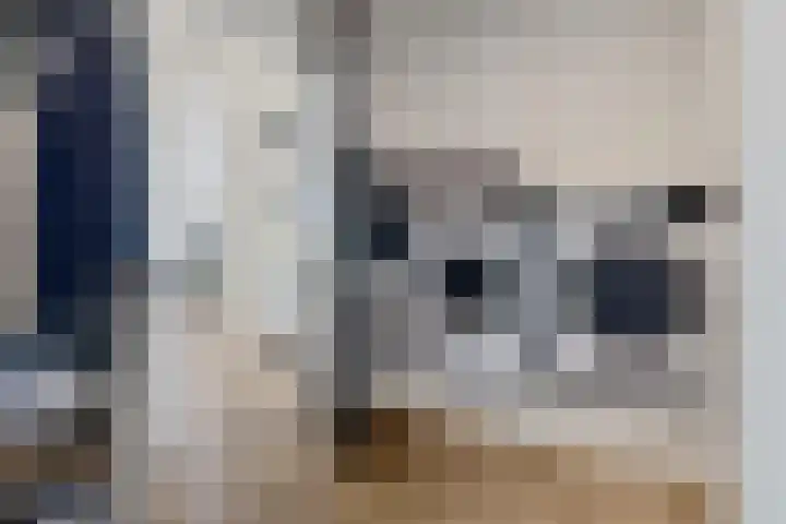 De Reeakker 4 Eelde thumbnail 20