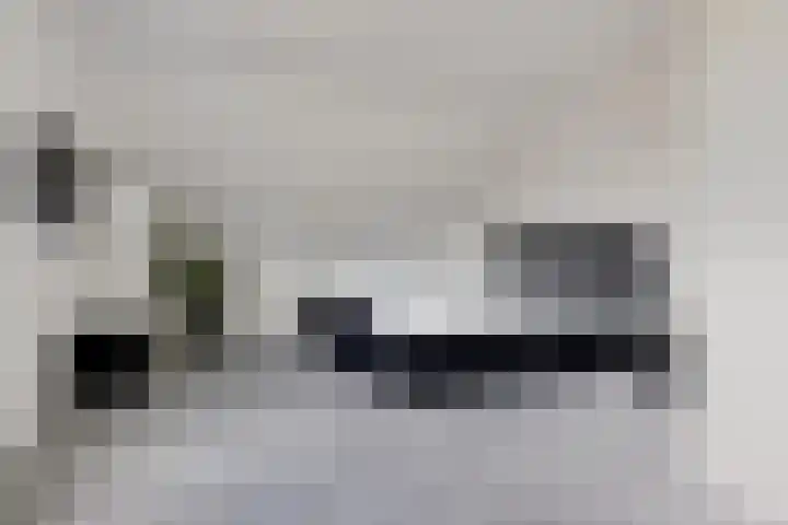 De Reeakker 4 Eelde thumbnail 23