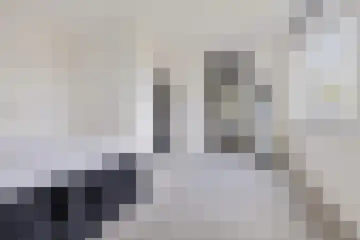 De Reeakker 4 Eelde thumbnail 24