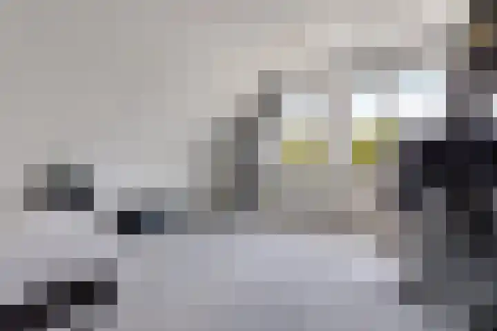 De Reeakker 4 Eelde thumbnail 27