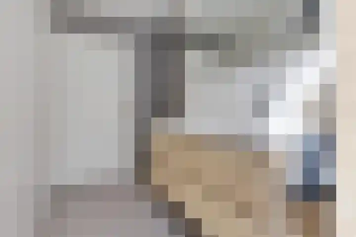 De Reeakker 4 Eelde thumbnail 30