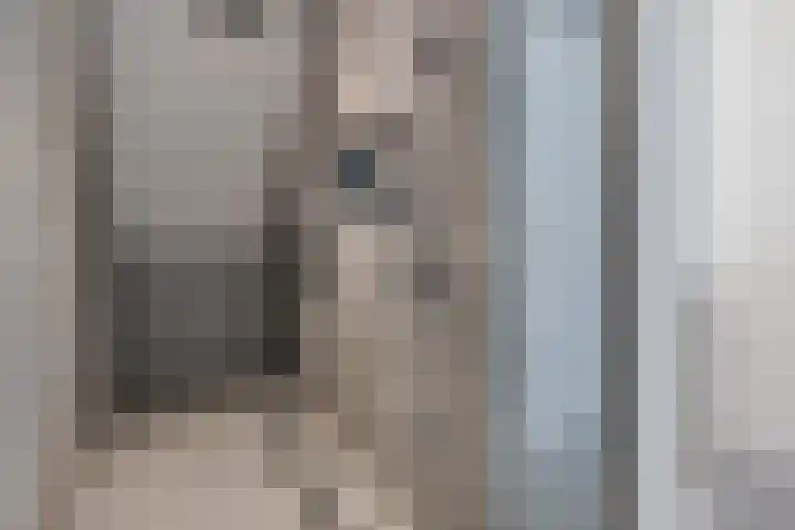 De Reeakker 4 Eelde thumbnail 31