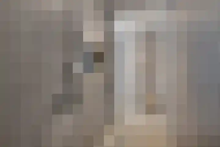 De Reeakker 4 Eelde thumbnail 32