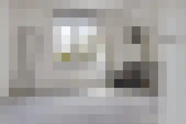 De Reeakker 4 Eelde thumbnail 33