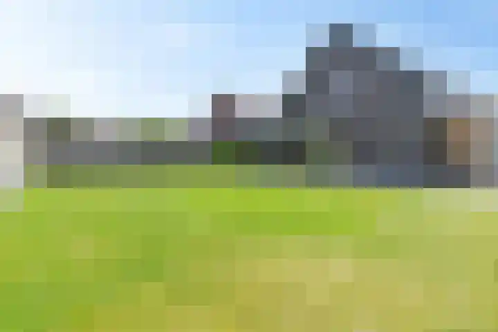 De Reeakker 4 Eelde thumbnail 35