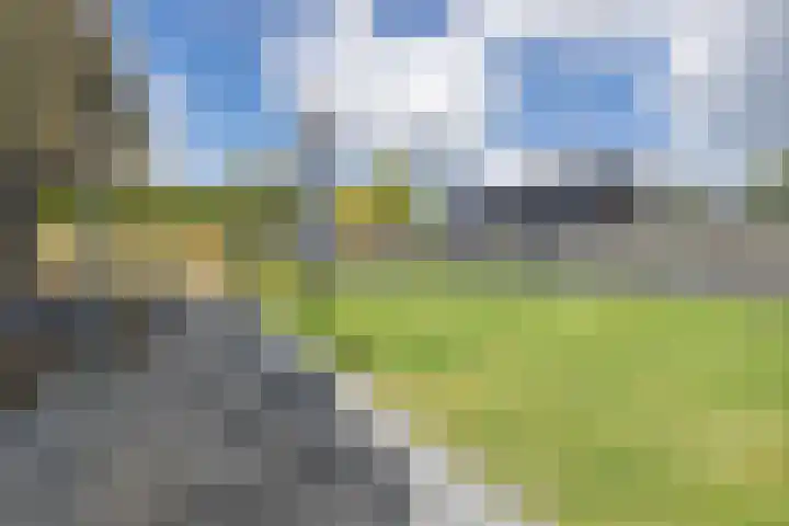 De Reeakker 4 Eelde thumbnail 37