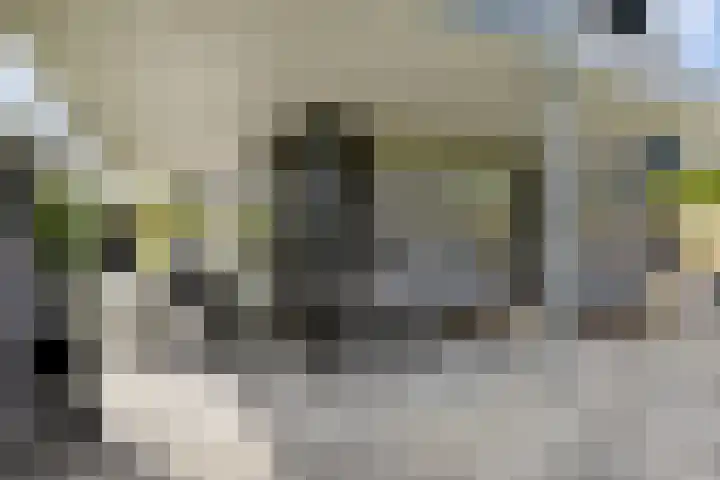 De Reeakker 4 Eelde thumbnail 38