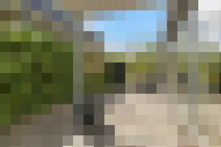 De Reeakker 4 Eelde thumbnail 39