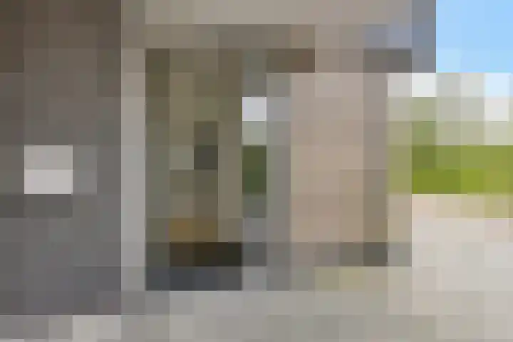 De Reeakker 4 Eelde thumbnail 4