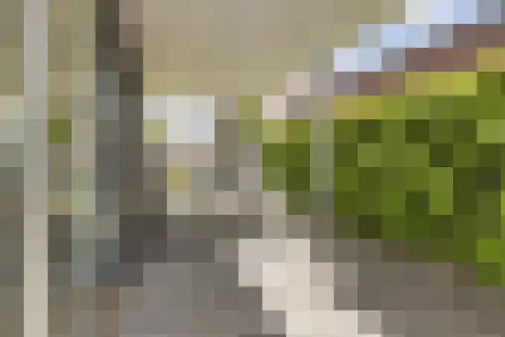 De Reeakker 4 Eelde thumbnail 40