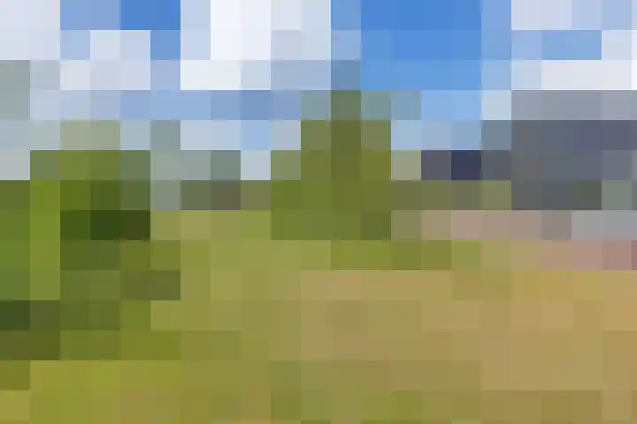De Reeakker 4 Eelde thumbnail 41