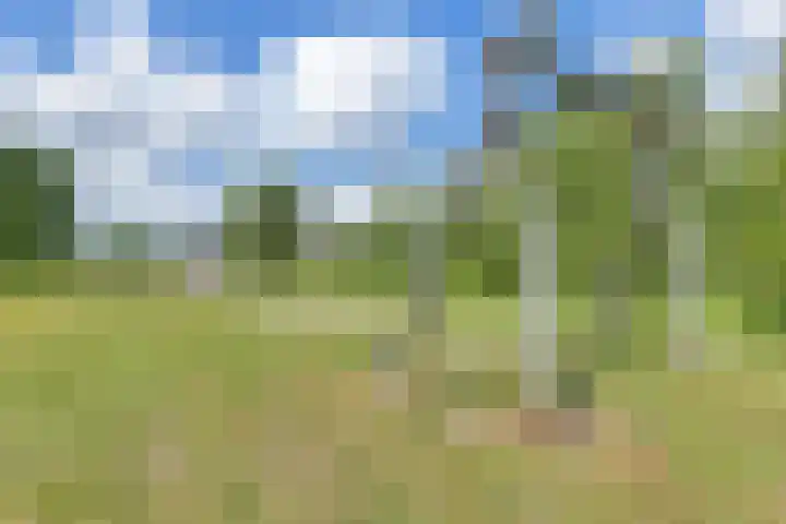 De Reeakker 4 Eelde thumbnail 42