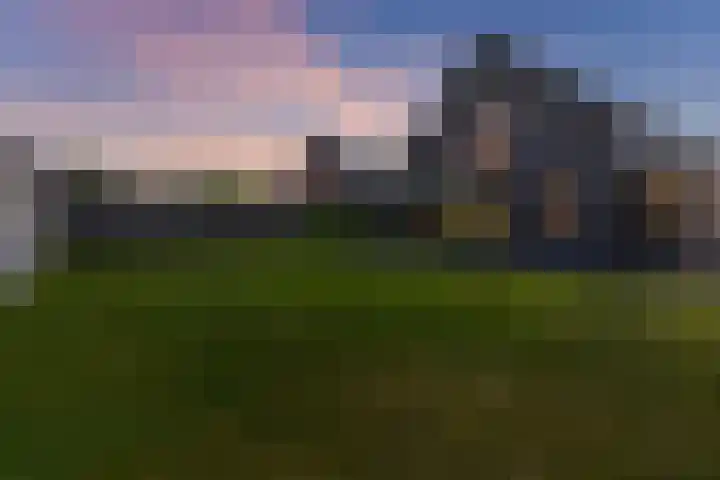 De Reeakker 4 Eelde thumbnail 44