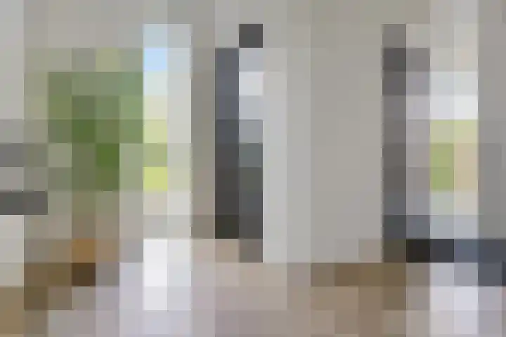 De Reeakker 4 Eelde thumbnail 5