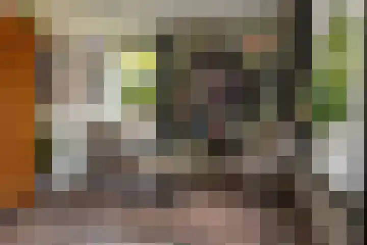 De Reede 35 Veendam thumbnail 10