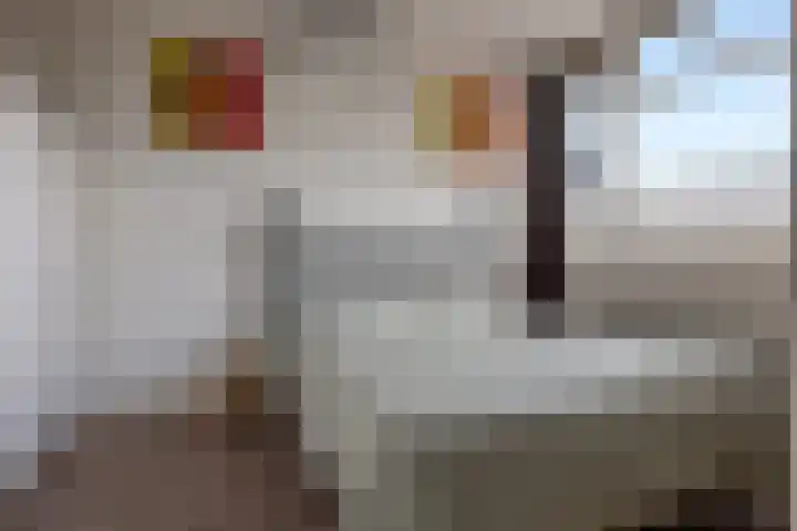 De Reede 35 Veendam thumbnail 17