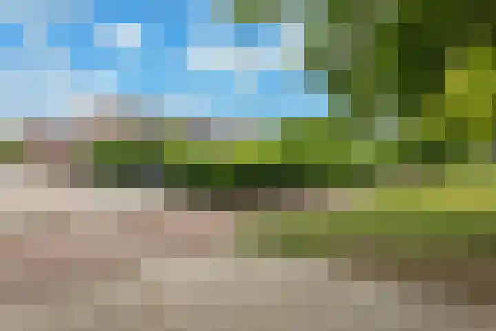 De Reede 35 Veendam thumbnail 30