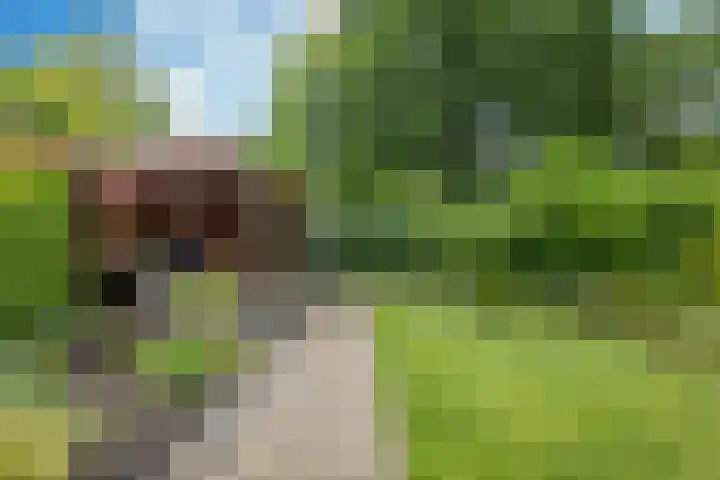 De Reede 35 Veendam thumbnail 5