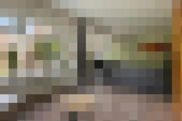 De Reede 35 Veendam thumbnail 8