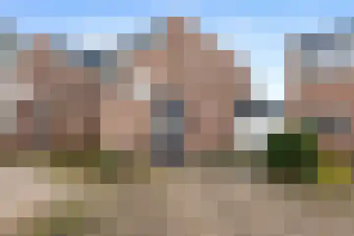 De Reede 85 Veendam