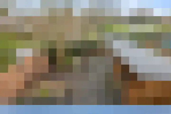 De Reede 85 Veendam thumbnail 21