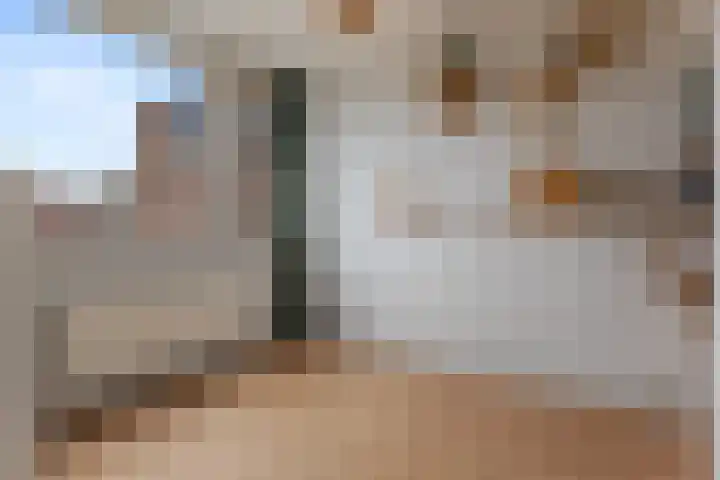 De Reede 85 Veendam thumbnail 26