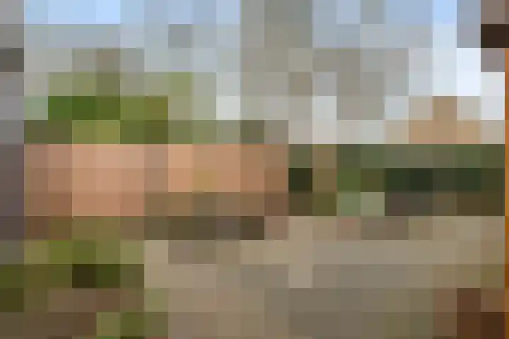De Reede 85 Veendam thumbnail 29