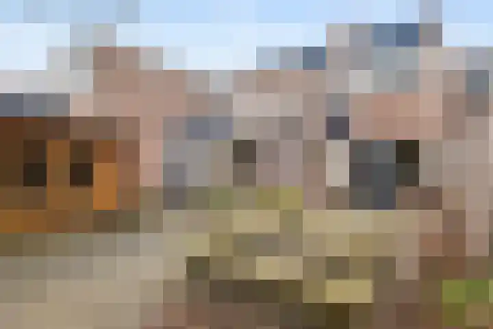 De Reede 85 Veendam thumbnail 30