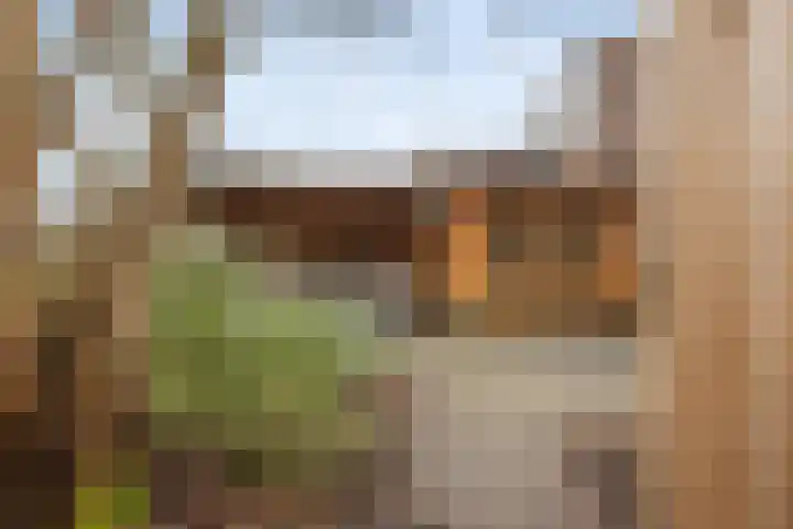 De Reede 85 Veendam thumbnail 34