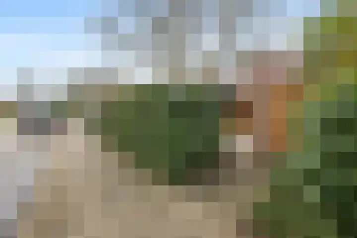 De Reede 85 Veendam thumbnail 35