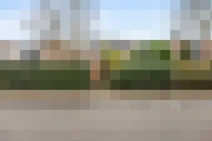 De Reede 85 Veendam thumbnail 36
