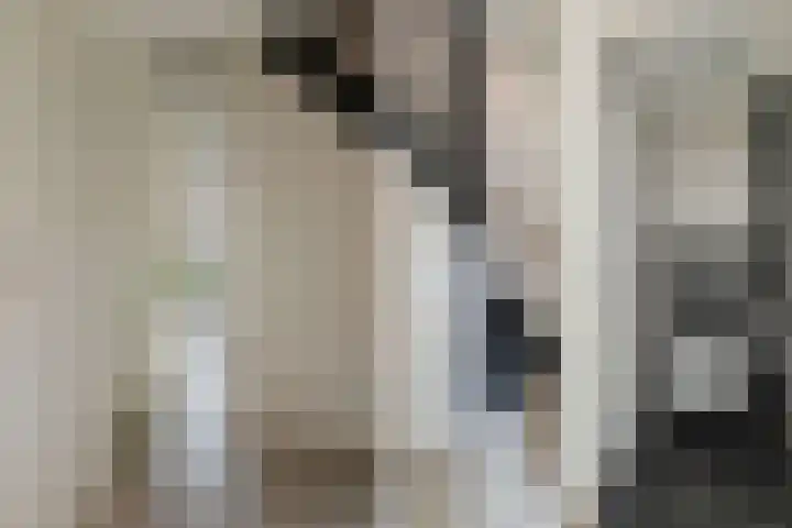 De Reede 97 Veendam thumbnail 12