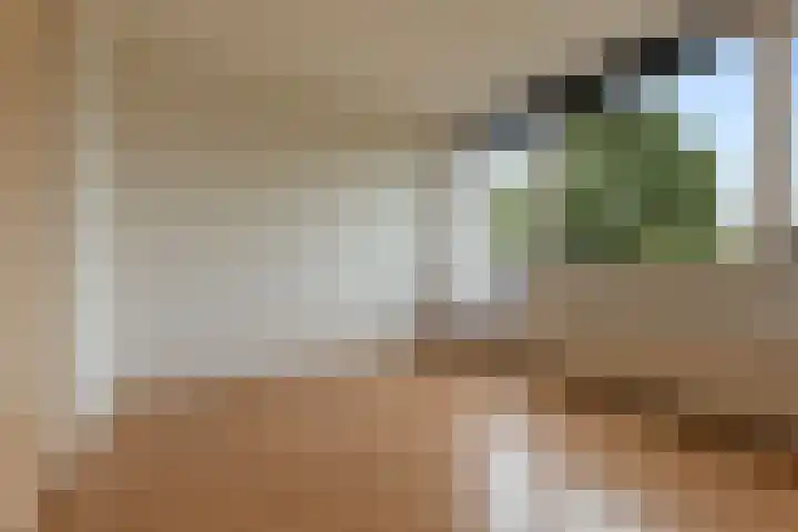 De Reede 97 Veendam thumbnail 13