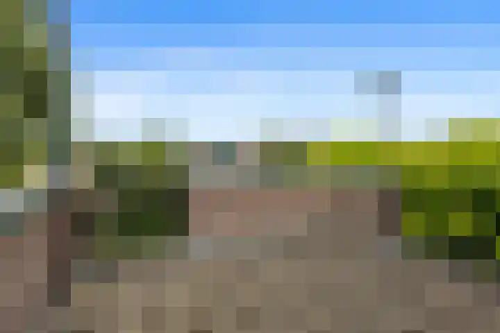 De Reede 97 Veendam thumbnail 17