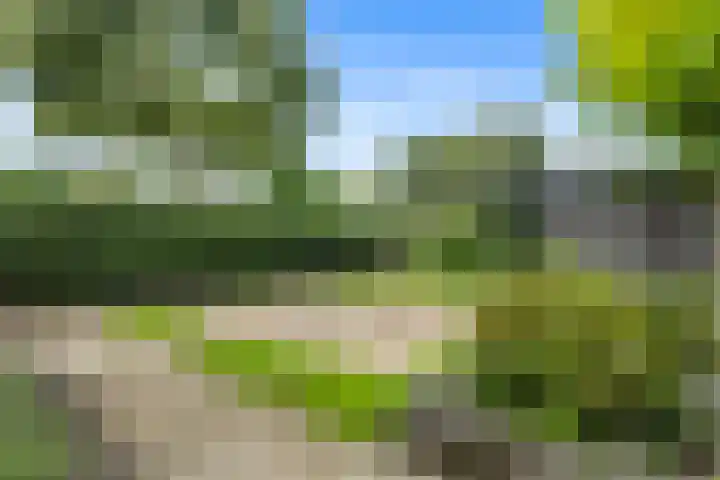 De Reede 97 Veendam thumbnail 22