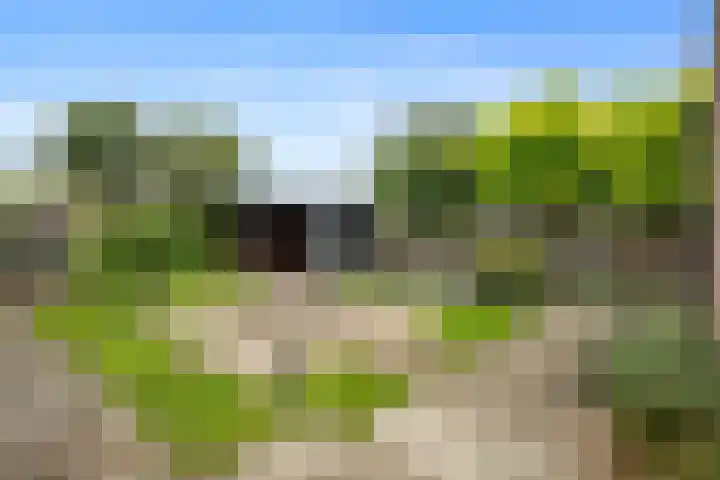 De Reede 97 Veendam thumbnail 23
