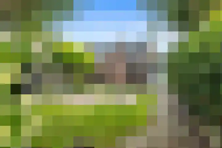 De Reede 97 Veendam thumbnail 24