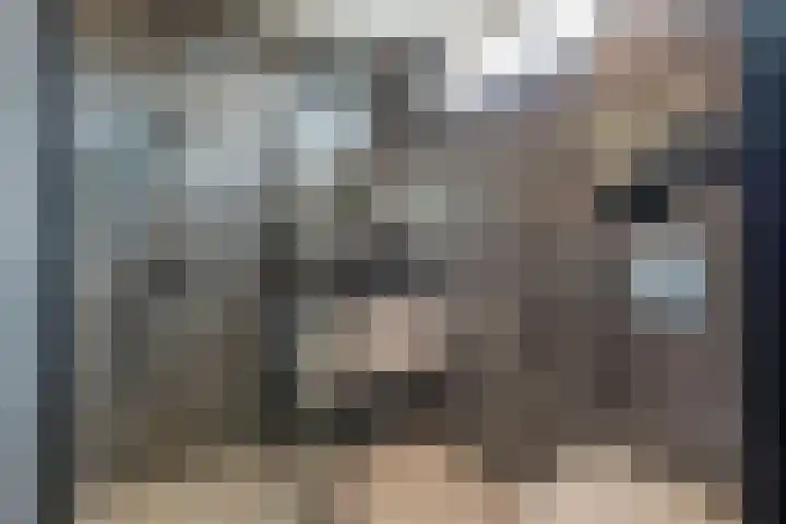 De Reede 97 Veendam thumbnail 4