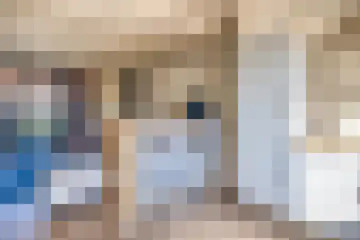 de Reep 4 Reusel thumbnail 16